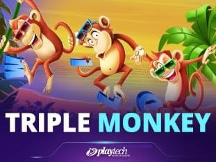 Triple Monkey (1) icon